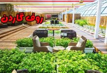 طراحی و اجرای روف گاردن