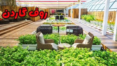 طراحی و اجرای روف گاردن