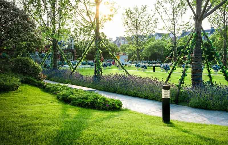 نورپردازی فضای سبز