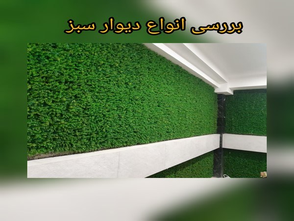 بررسی انواع دیوار سبز