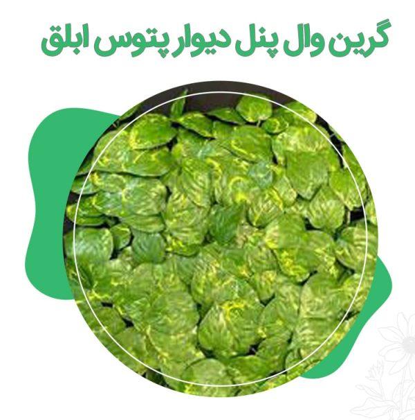 گرین وال ابلق