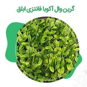 گرین وال آکوبا فانتزی ابلق