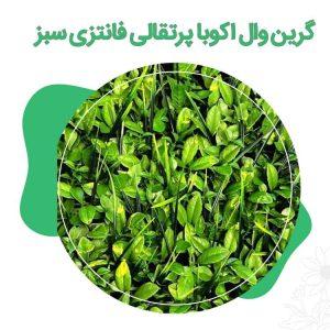 گرین-وال-اکوبا-پرتقالی-فانتزی-سبز