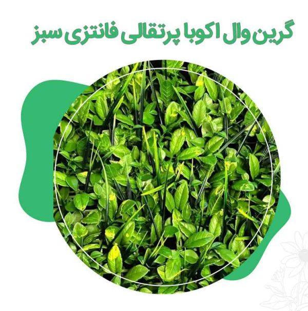 گرین-وال-اکوبا-پرتقالی-فانتزی-سبز