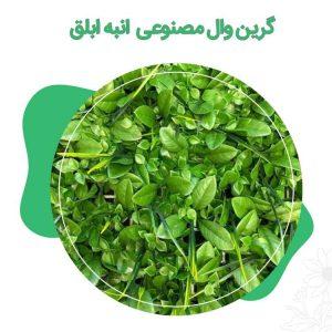 گرین-وال-مصنوعی -انبه-ابلق