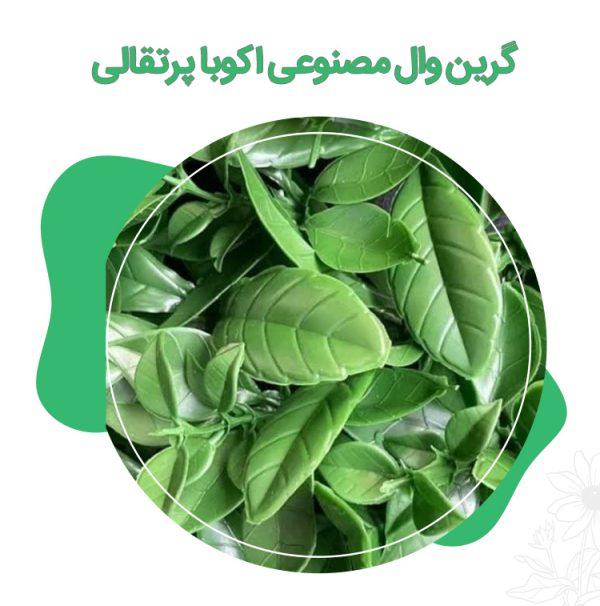 گرین-وال-مصنوعی-اکوبا-پرتقالی